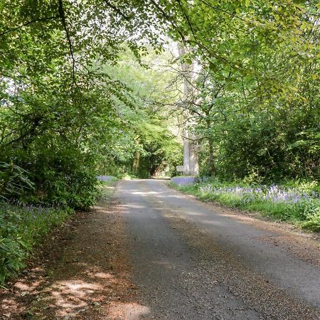 Maisie'S Cottage ダンブレーン エクステリア 写真