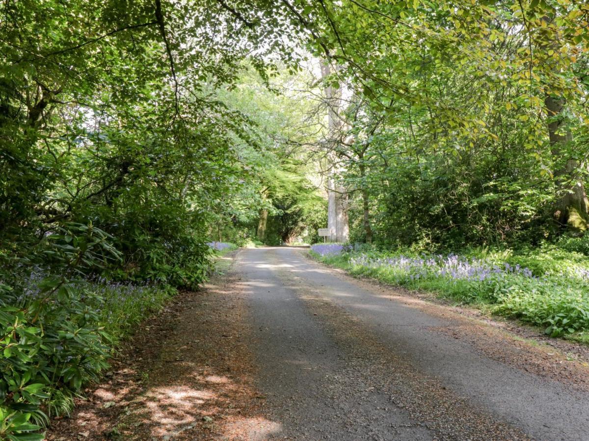 Maisie'S Cottage ダンブレーン エクステリア 写真
